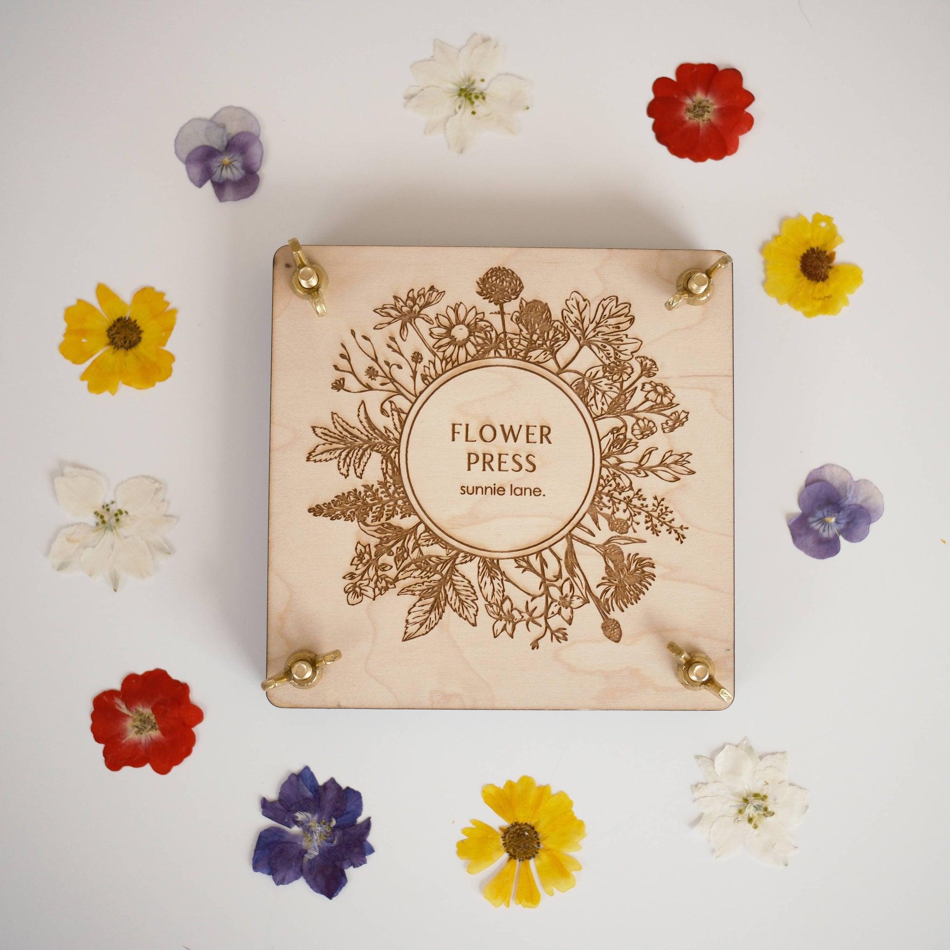 Wooden flower press with floral design on a white background with pressed flowers around it.