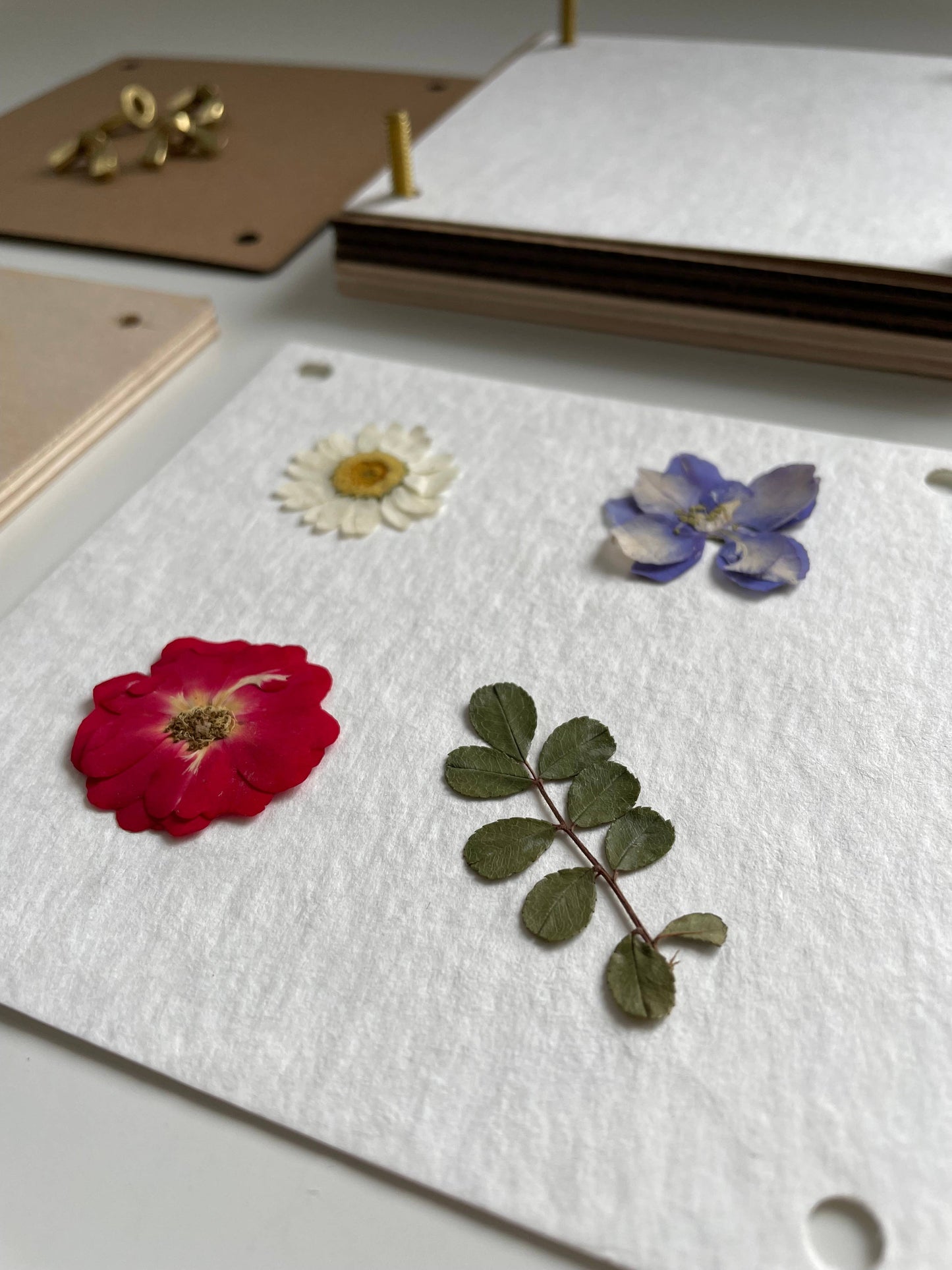 Pressed flowers and leaves on a white paper with a notebook in the background