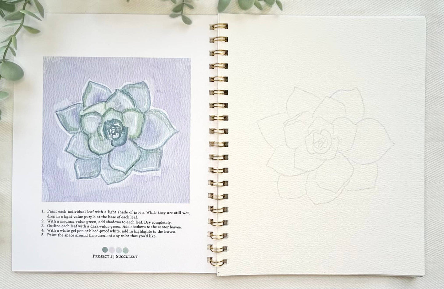 Open book with succulent illustration and text on a white background