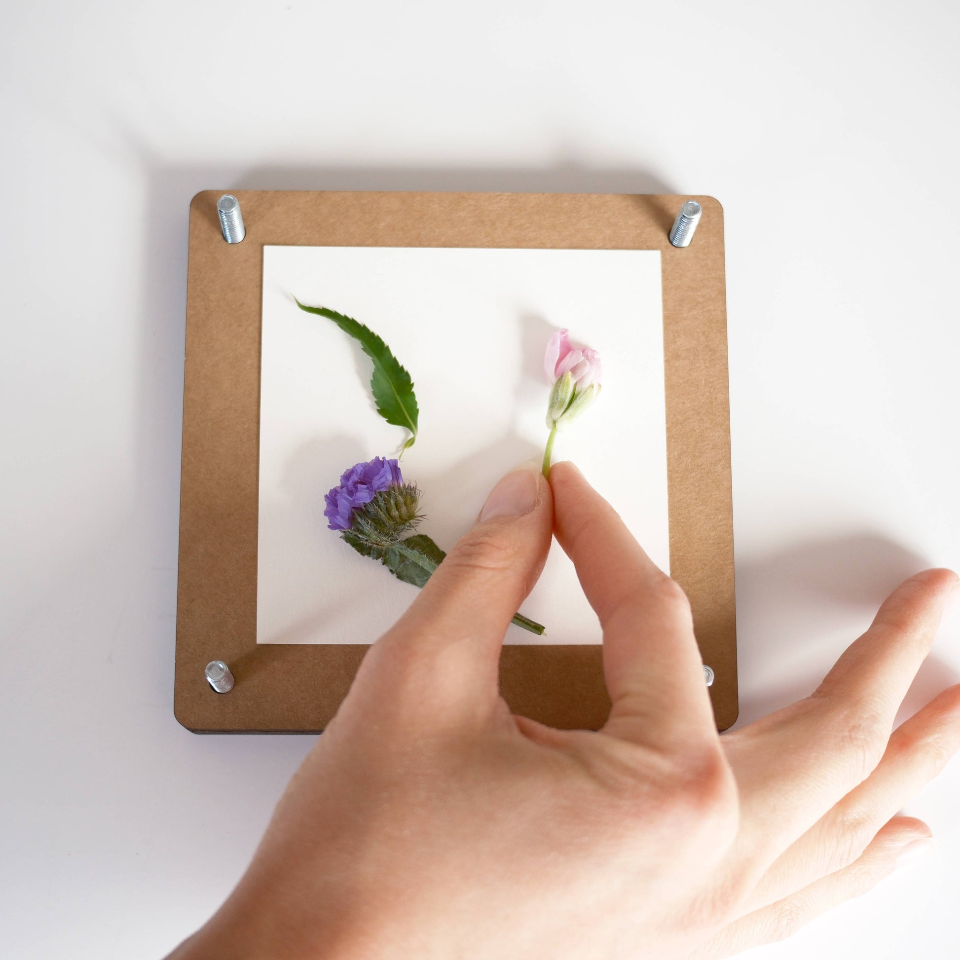 Hand placing flowers on a small cardboard frame with a white background