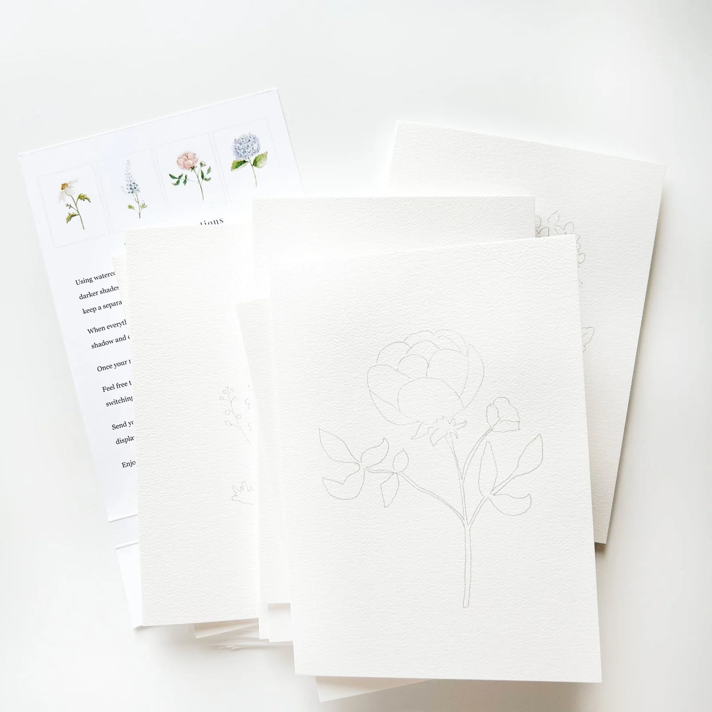 Emily Lex Studio Garden Flowers Paintable Notecards — Watercolor Cards You Paint Yourself