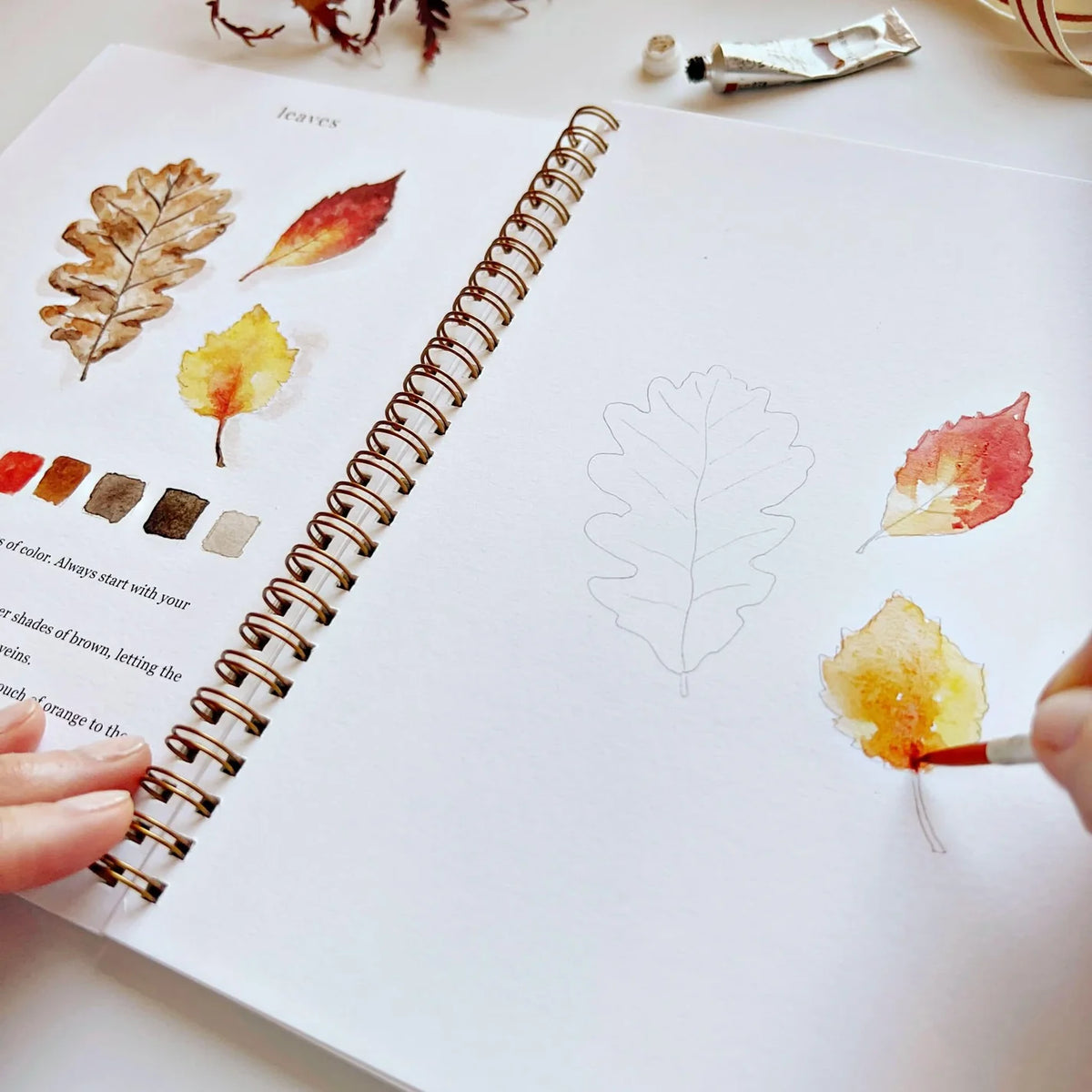 Autumn Watercolor Workbook – 12 Step-by-Step Painting Projects
