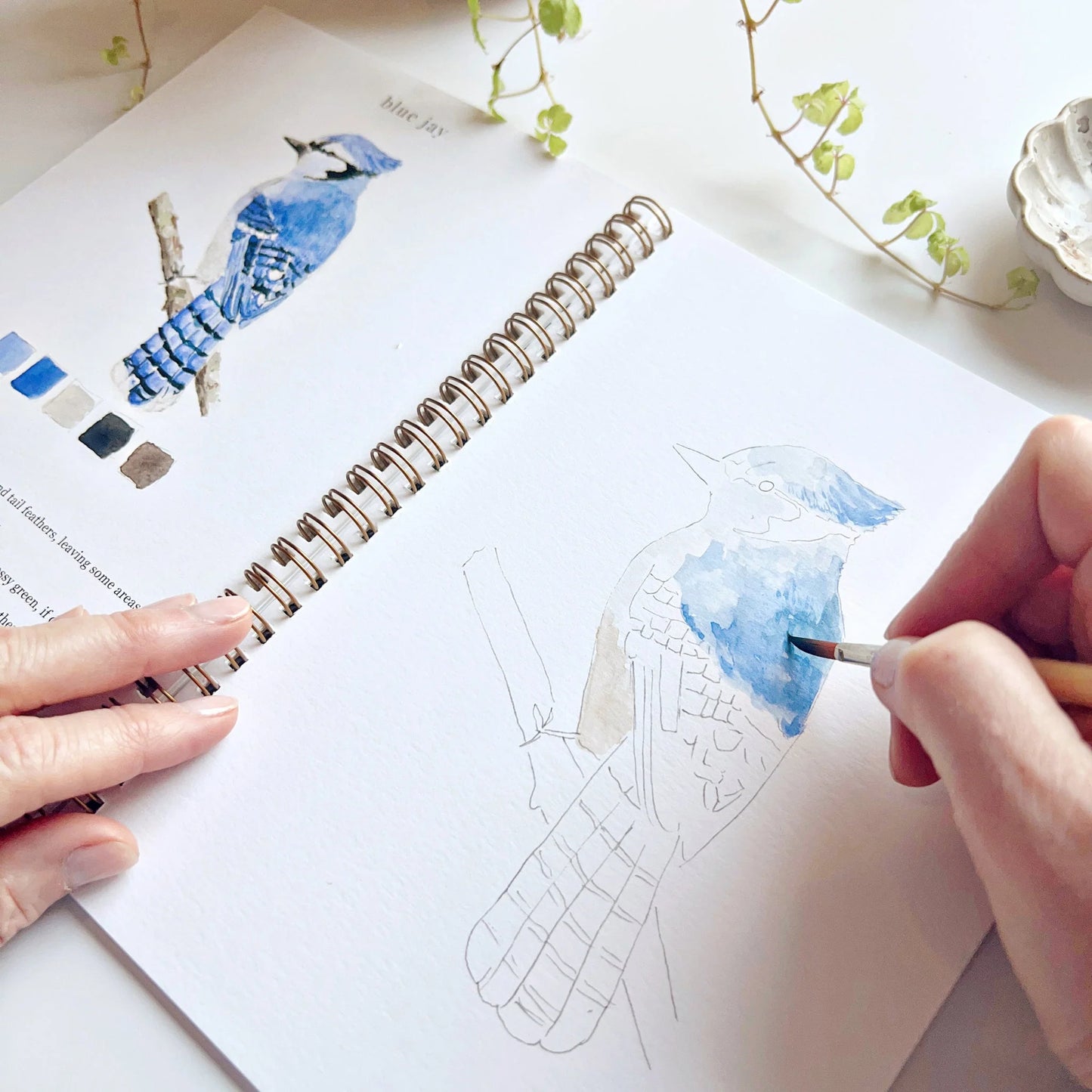 Hand painting a Blue Jay in watercolor