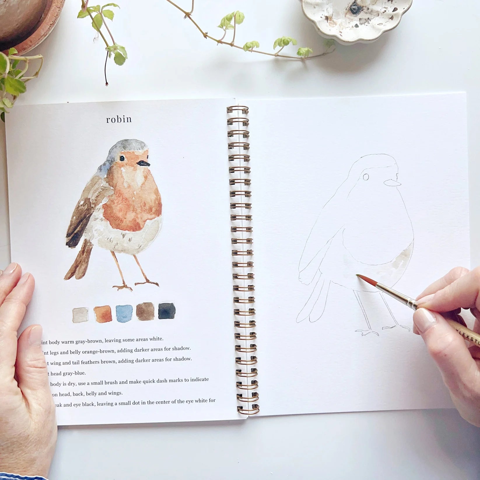 Open book with illustration of a robin and drawing of a bird, with hands holding a paintbrush.