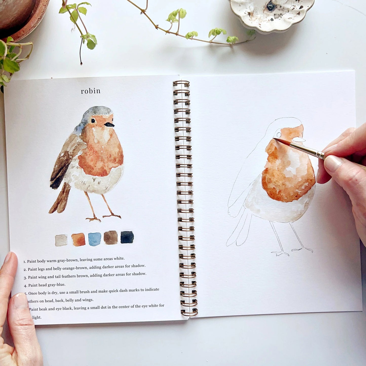 Open book with illustration of a brown and blue robin and drawing of a bird, with hands holding a paintbrush.
