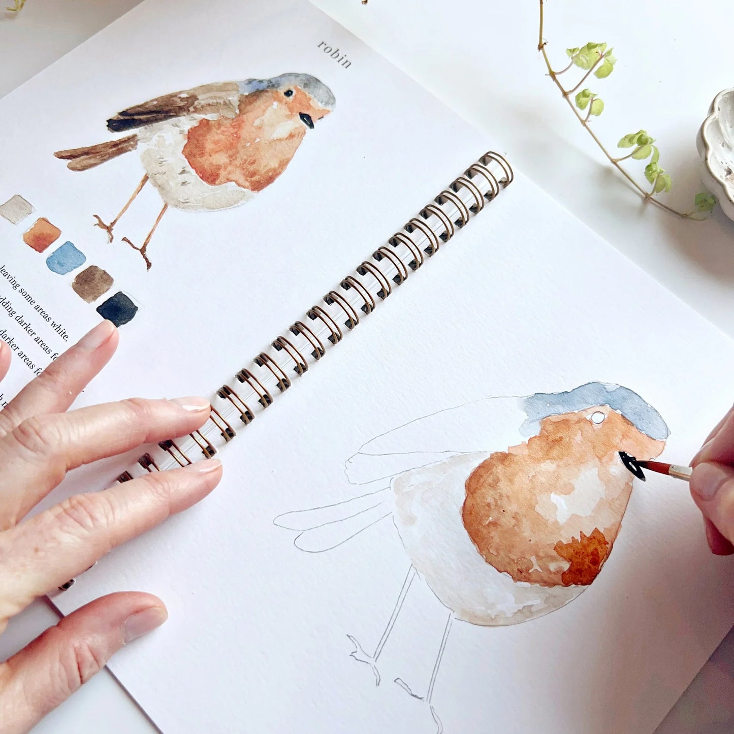 Person painting a robin illustration in a sketchbook with watercolors