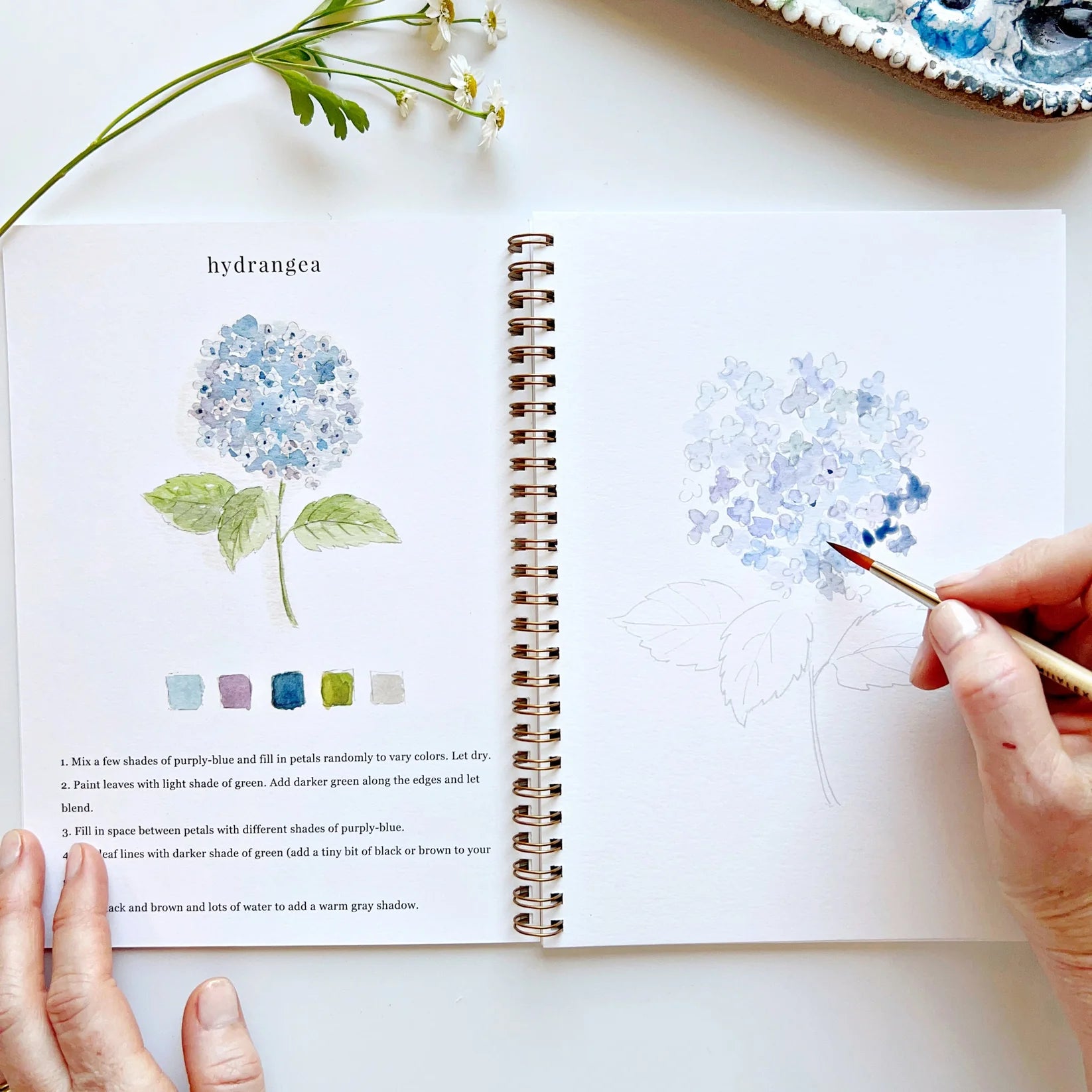 Person drawing hydrangeas in a sketchbook with a color chart