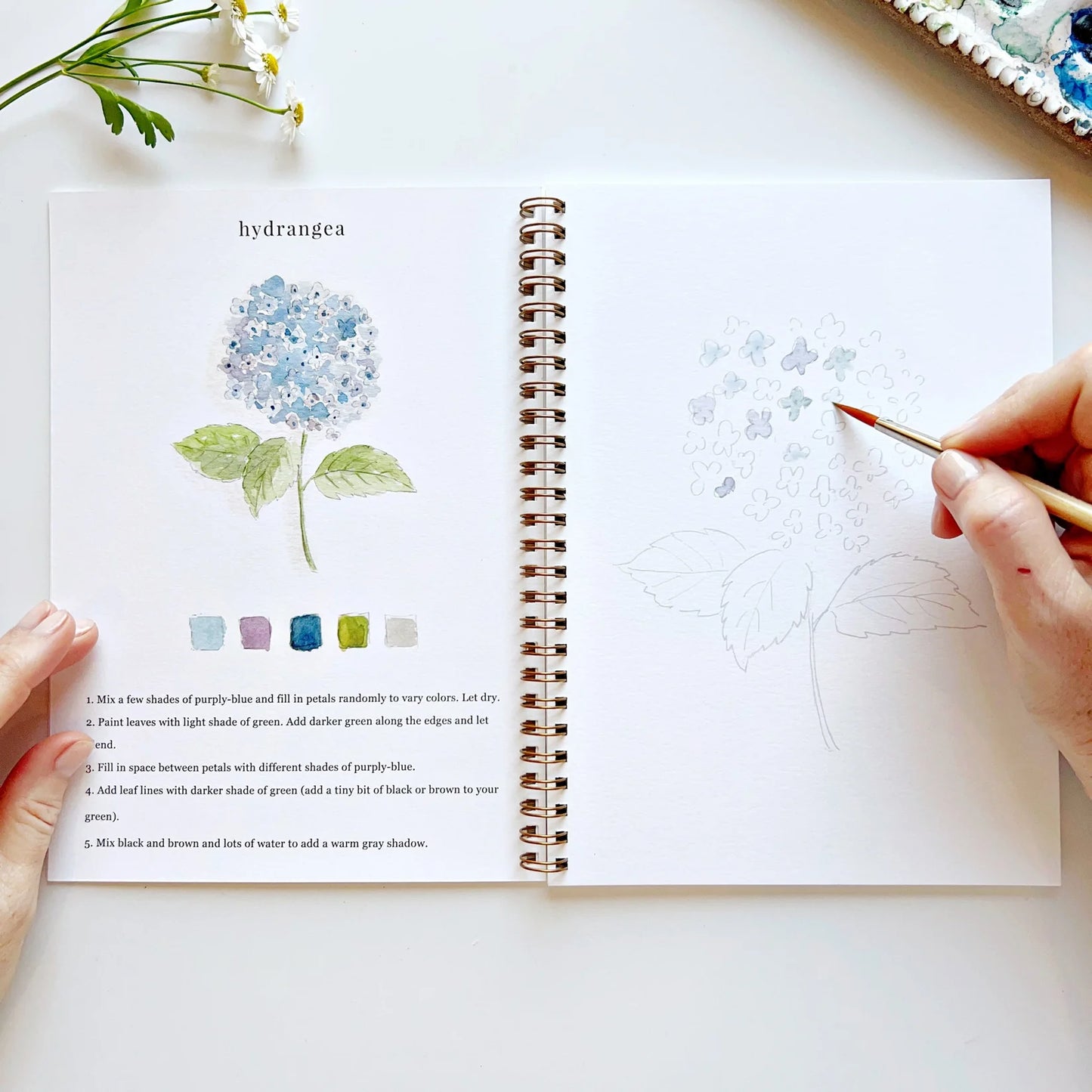 Person coloring a hydrangea flower in a coloring book with a pen.