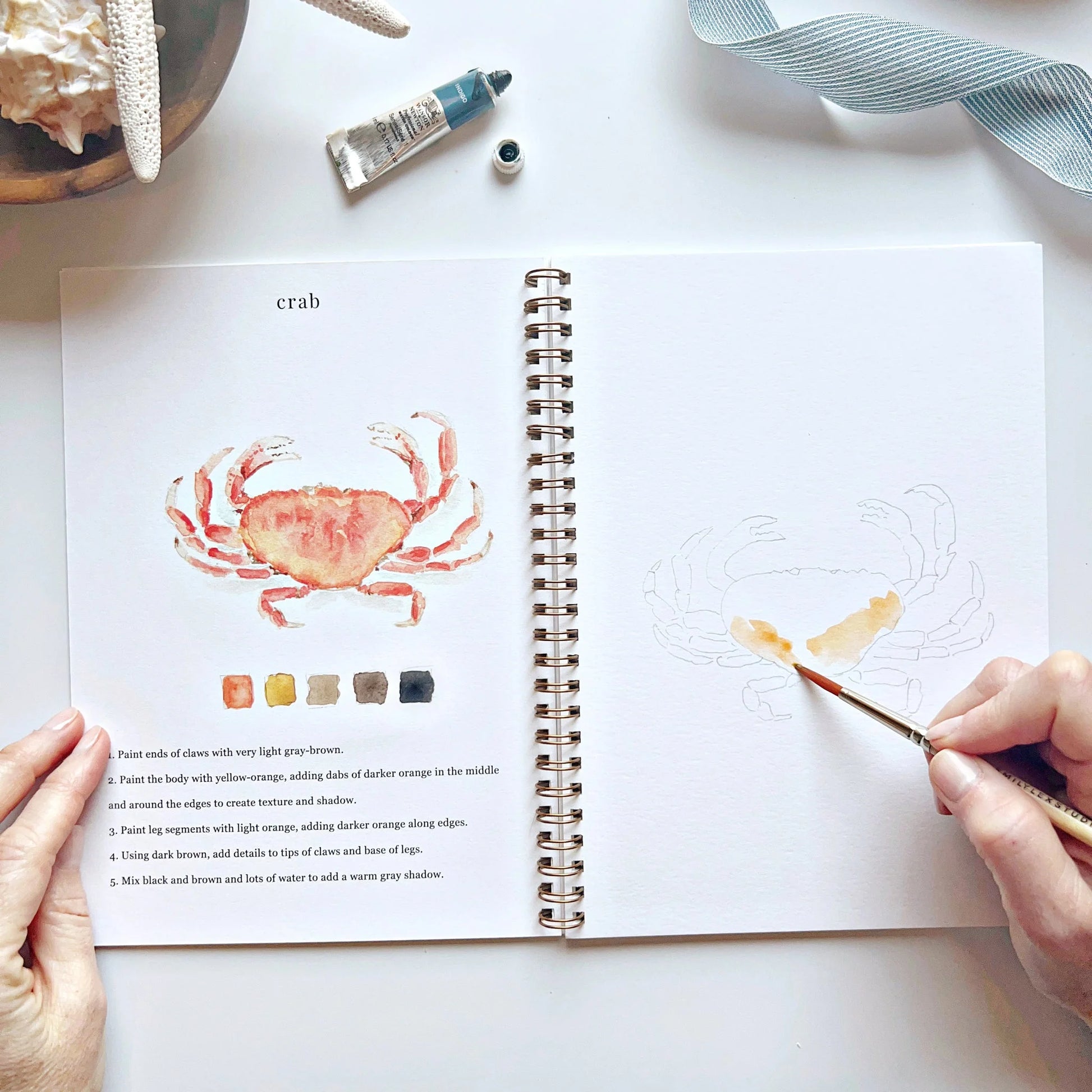 Artbook with a crab illustration and painting activity, hands holding a brush and paint.