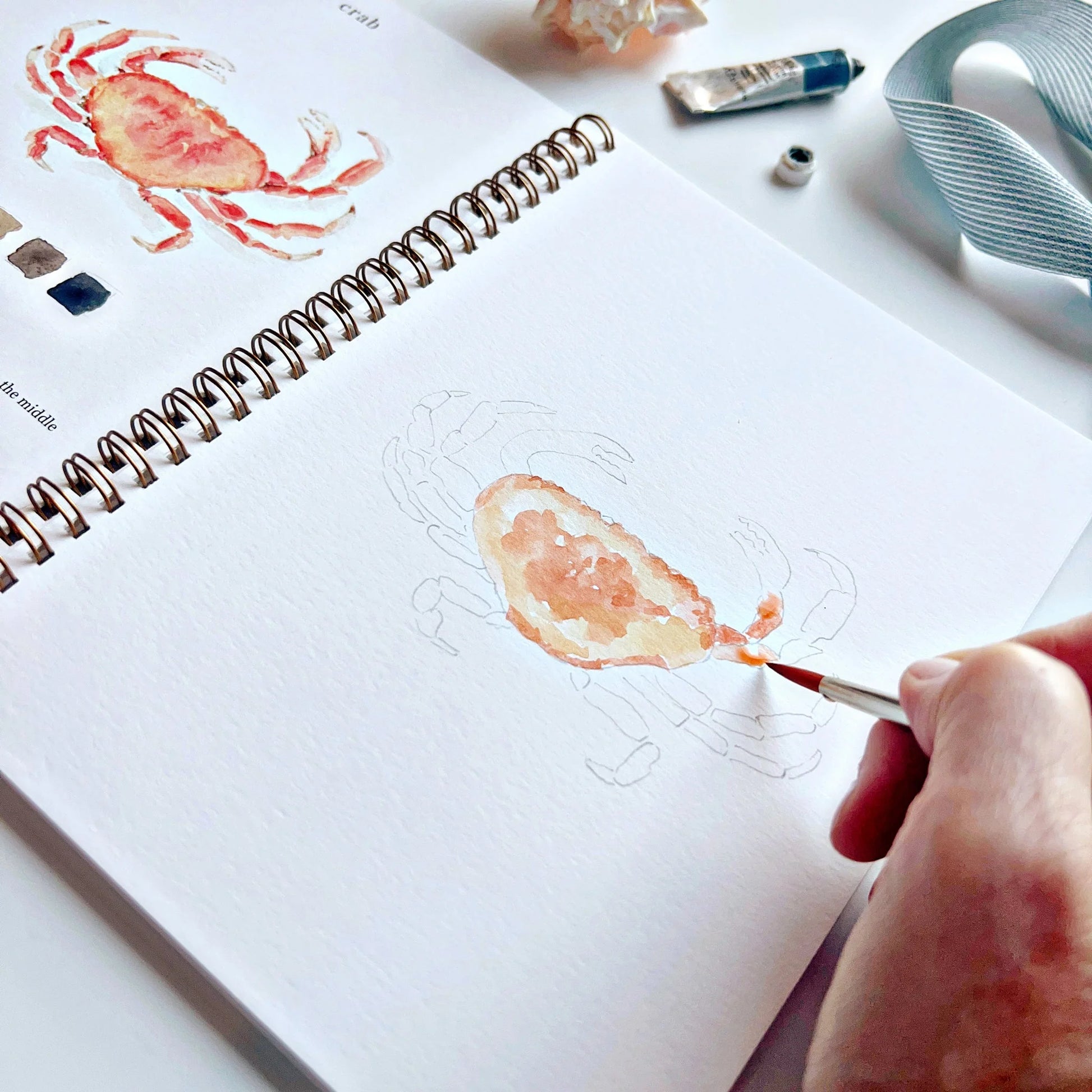 Artistic process of painting a crab illustration in a sketchbook with watercolor paints.
